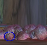 PinkyRoachLarvaeggs.jpg