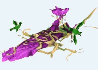 Wind Statue