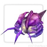 Violet Trillipy