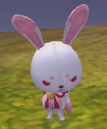 Shinobi Bunny