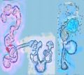 Thumbnail for version as of 13:45, 11 April 2021