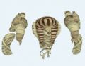 Thumbnail for version as of 13:44, 11 April 2021