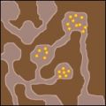 Thumbnail for version as of 13:40, 11 April 2021