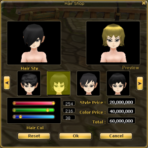 Hair Designer Interface.png