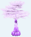 Thumbnail for version as of 12:17, 10 March 2025