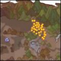 Thumbnail for version as of 13:35, 11 April 2021