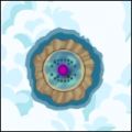 Thumbnail for version as of 13:35, 11 April 2021