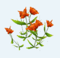 Thumbnail for version as of 18:12, 10 March 2025
