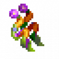 Thumbnail for version as of 12:38, 11 April 2021
